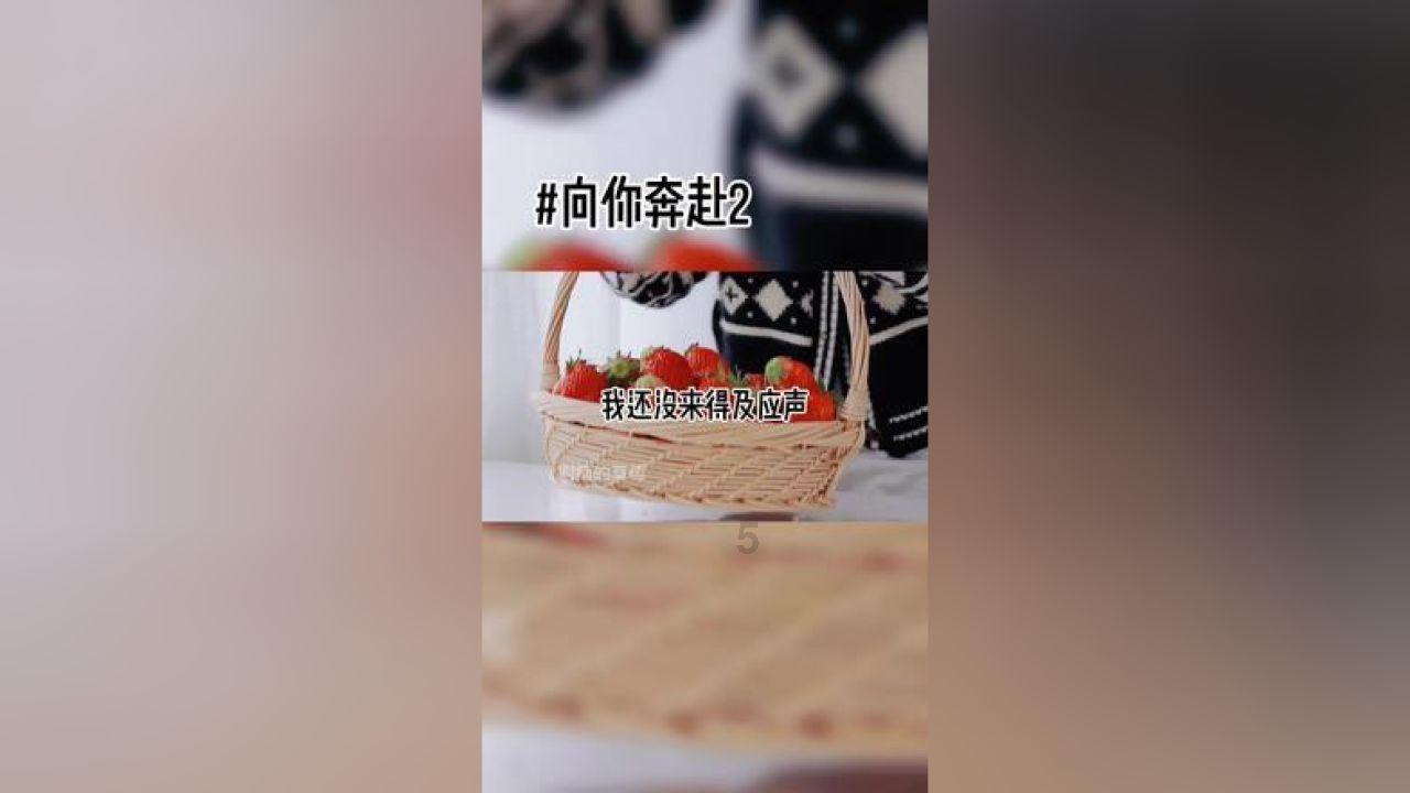 逗小猴开心系列205